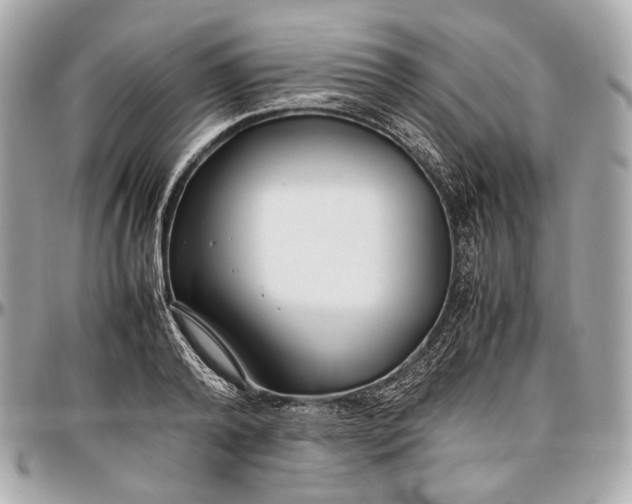 X0000096980792200802221433