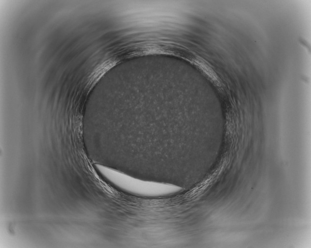 X0000096980793200802221433