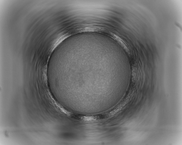 X0000096980794200802221433