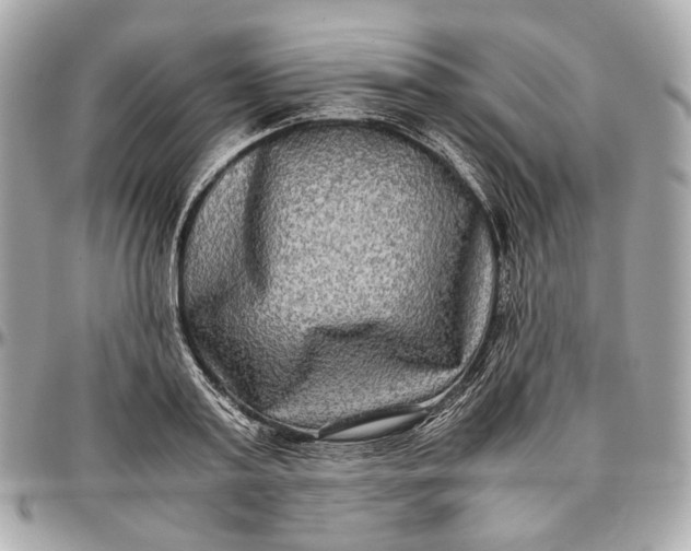 X0000096980795200802221433