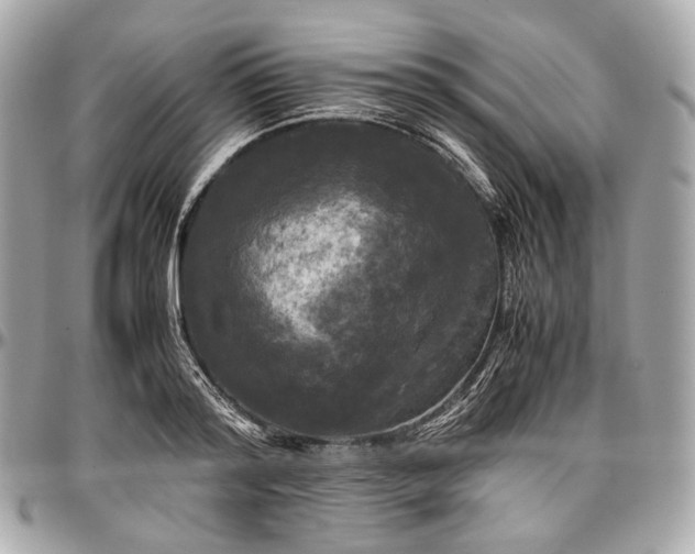 X0000096980796200802221433