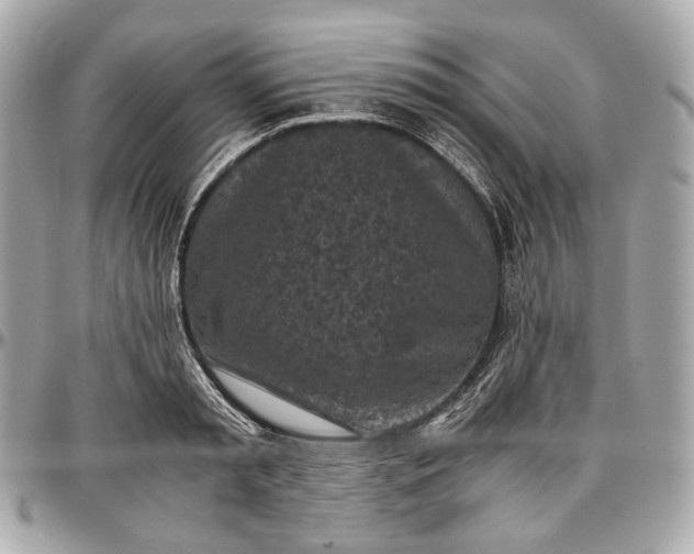 X0000096980797200802221433