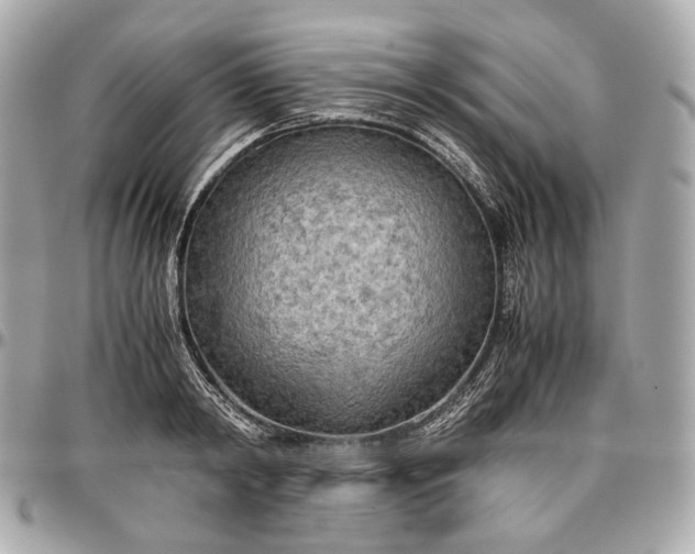 X0000096980798200802221433