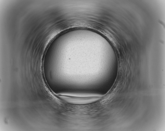 X0000096980799200802221433