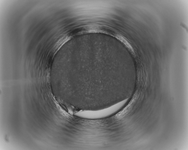 X0000096980801200802221433