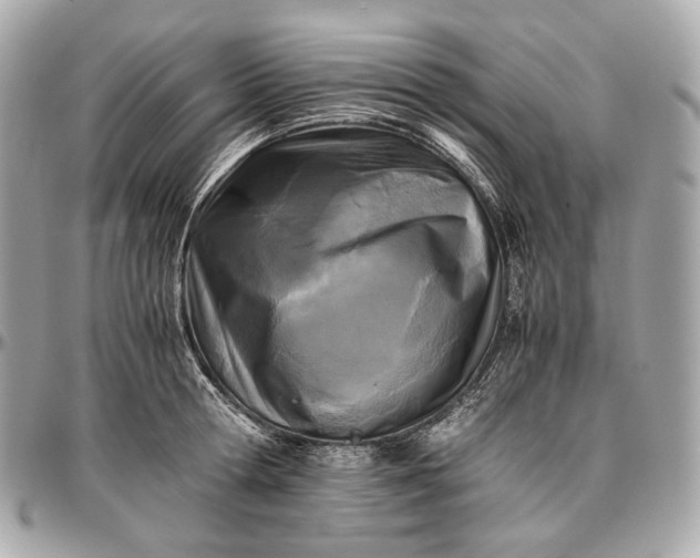 X0000096980802200802221433