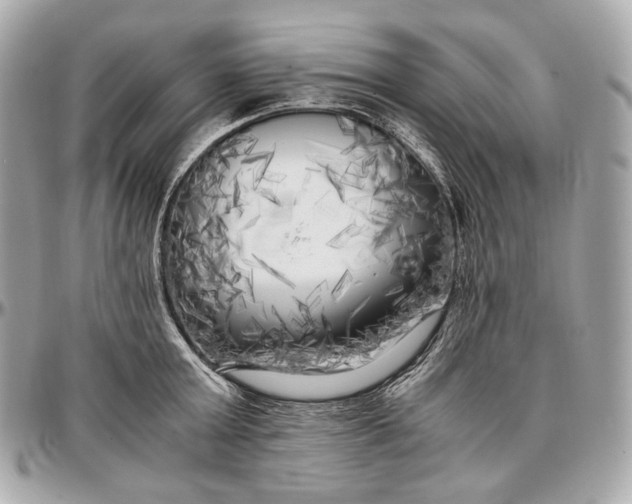 X0000096980803200802221433