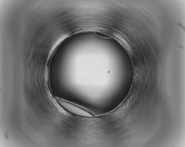 X0000096980804200802221433