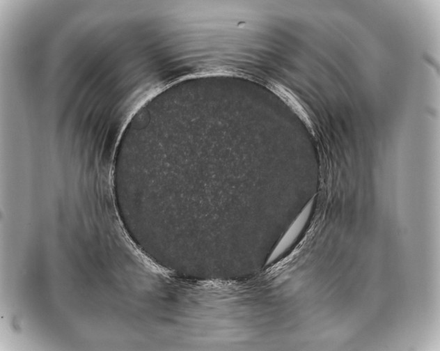 X0000096980805200802221433