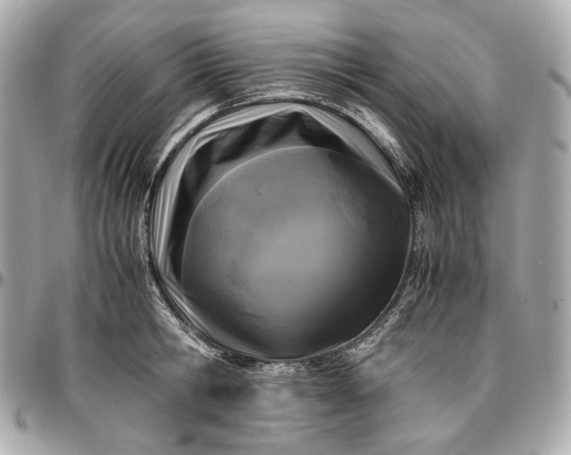 X0000096980806200802221433