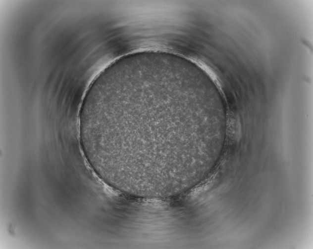 X0000096980807200802221433