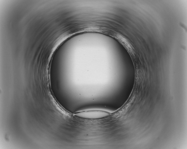 X0000096980808200802221433