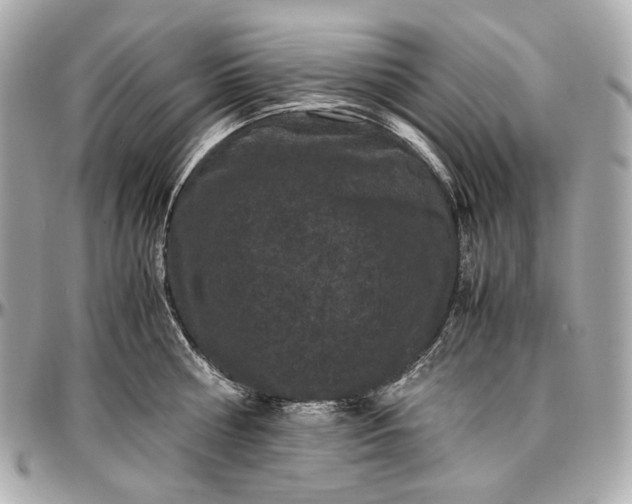 X0000096980810200802221433