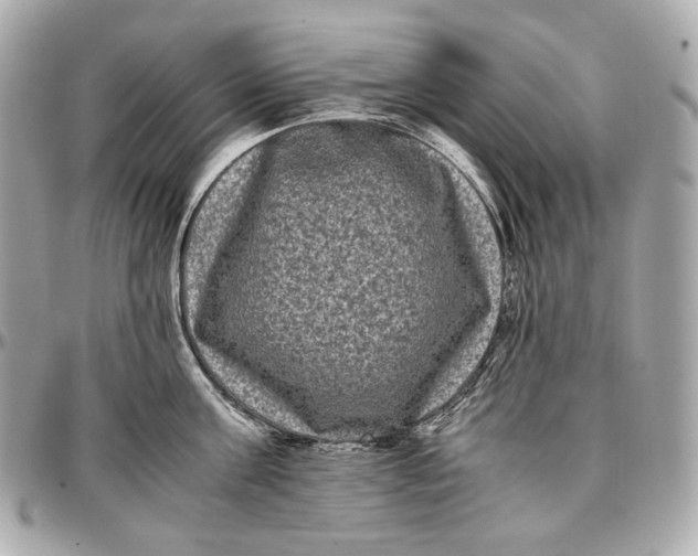 X0000096980811200802221433