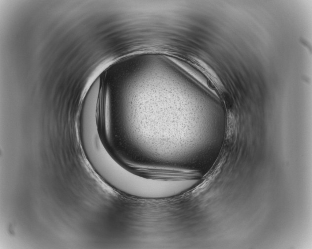 X0000096980812200802221433