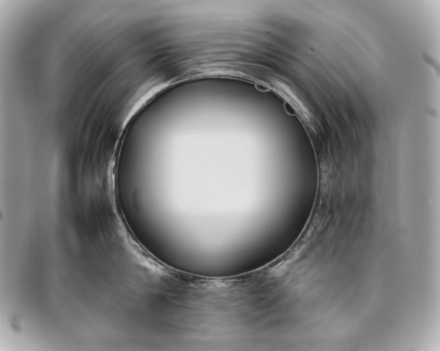 X0000096980814200802221433