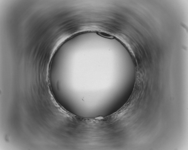 X0000096980815200802221433