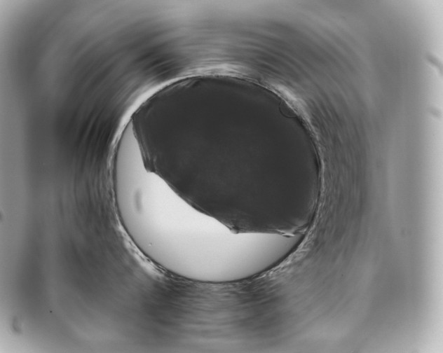 X0000096980816200802221433