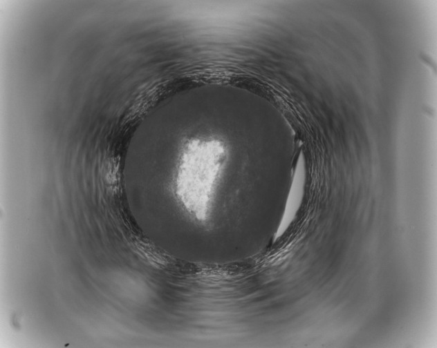 X0000096980818200802221432