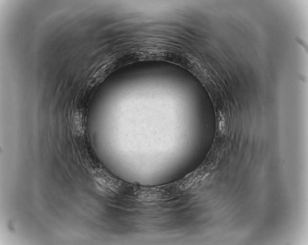 X0000096980819200802221432