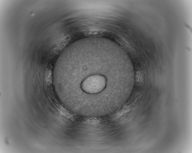 X0000096980820200802221432