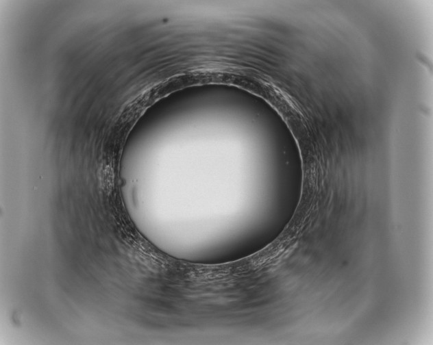 X0000096980821200802221432