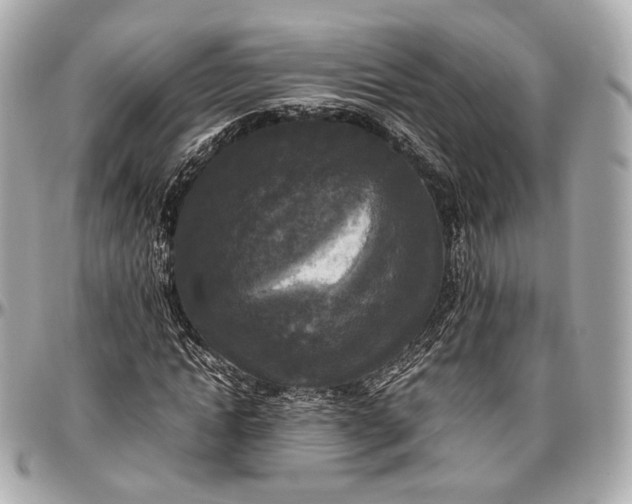 X0000096980822200802221432