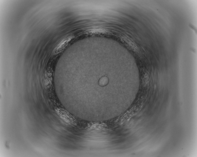 X0000096980824200802221432