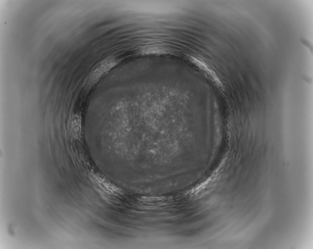 X0000096980825200802221432