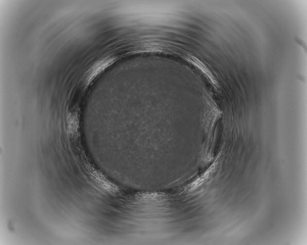 X0000096980826200802221432