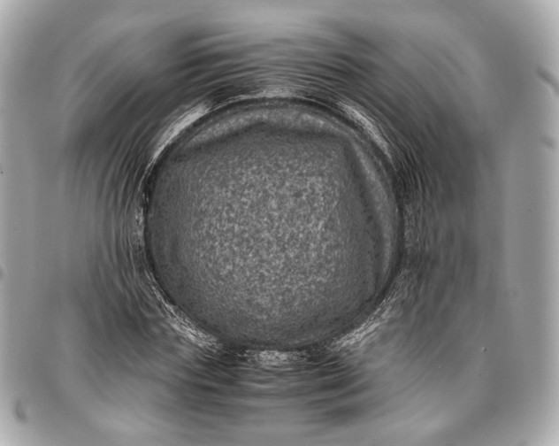 X0000096980827200802221432