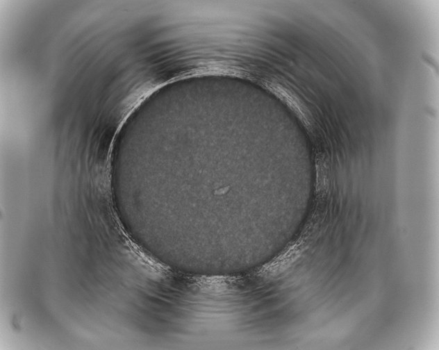 X0000096980828200802221432