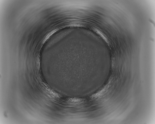 X0000096980829200802221432