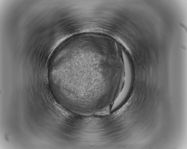 X0000096980830200802221432