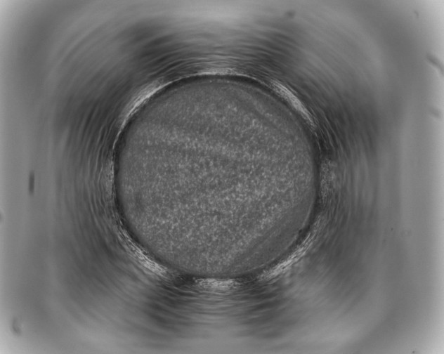 X0000096980831200802221432