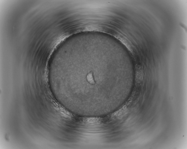 X0000096980832200802221432