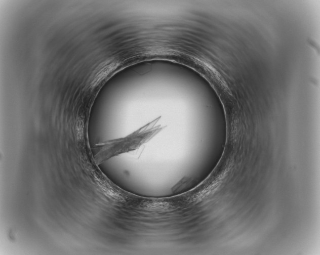 X0000096980833200802221432