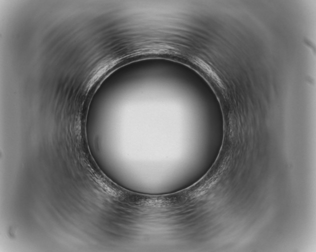 X0000096980834200802221432