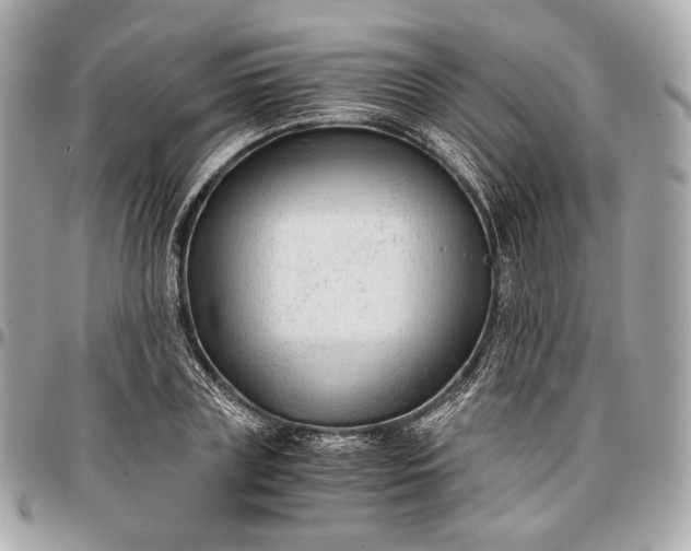 X0000096980835200802221432