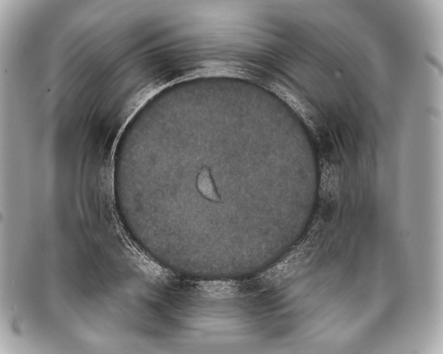 X0000096980836200802221432