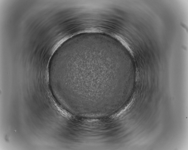 X0000096980837200802221432