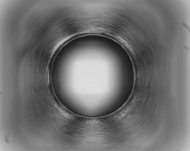 X0000096980838200802221432