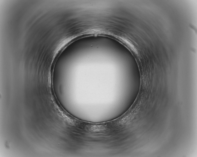 X0000096980839200802221432