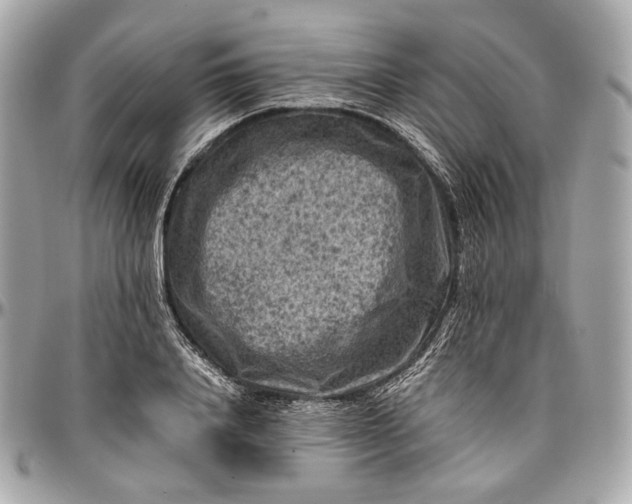 X0000096980840200802221432