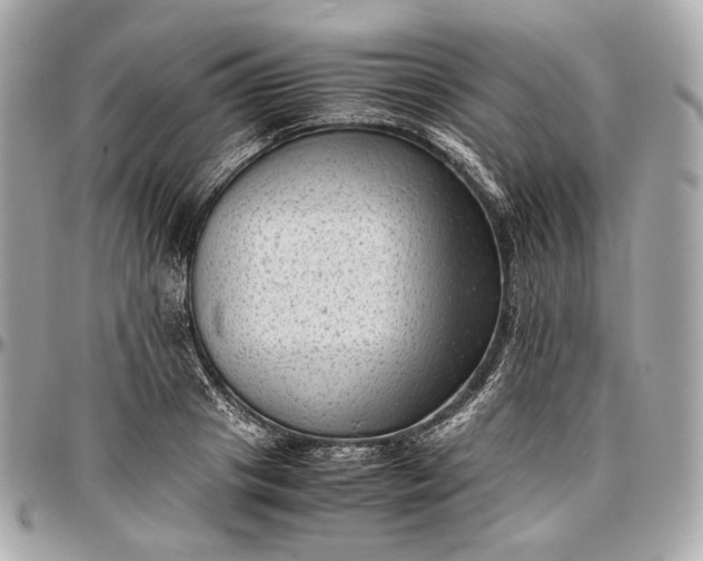 X0000096980841200802221432