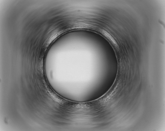 X0000096980842200802221432