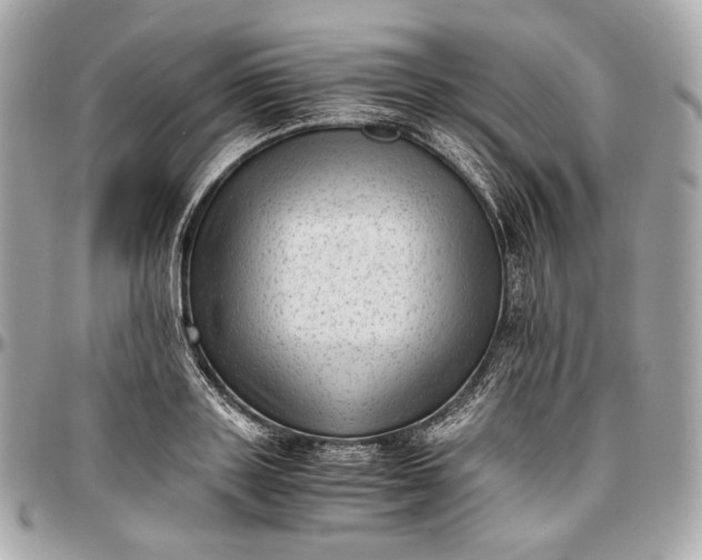 X0000096980843200802221432