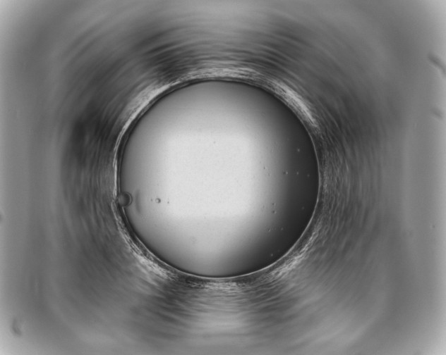 X0000096980844200802221432