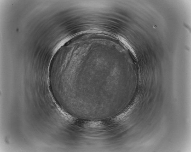 X0000096980845200802221432