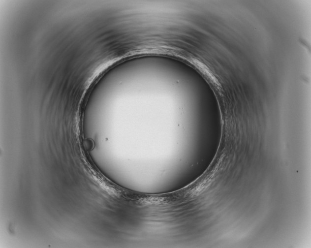 X0000096980846200802221432